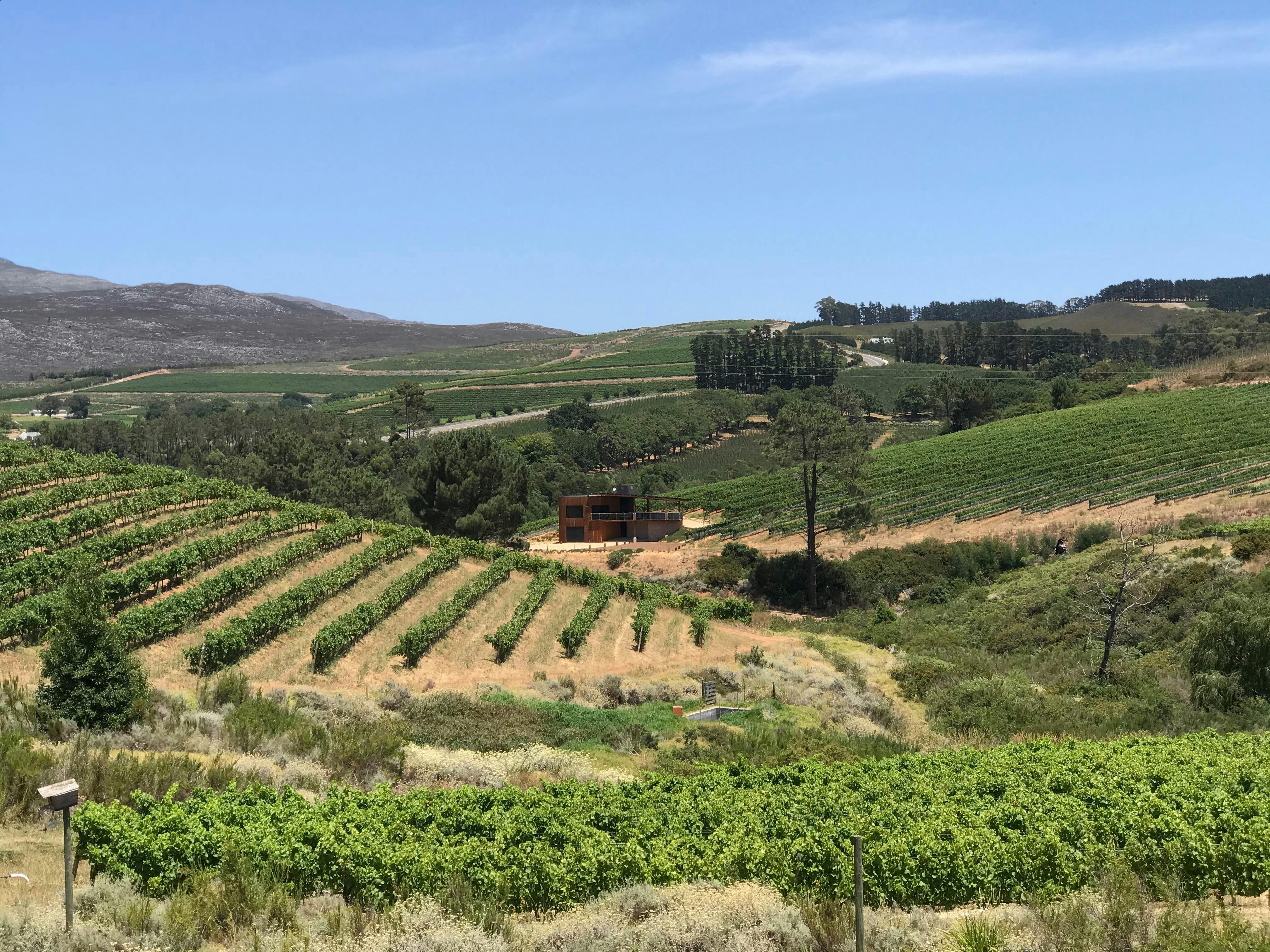 creation wines har gjestehus i vinmarkene Creation Wines, Sør Afrika